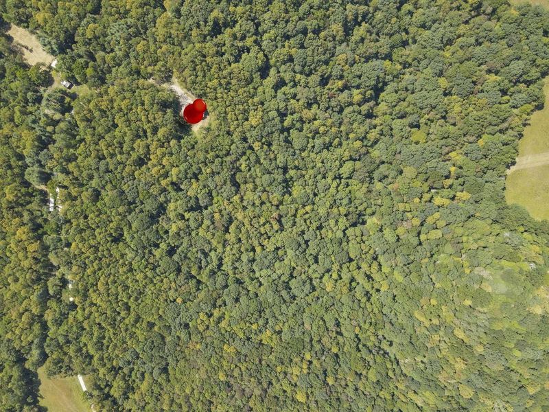 25242 Amerine Road, South Bloomingville, OH 43152 Photo 75