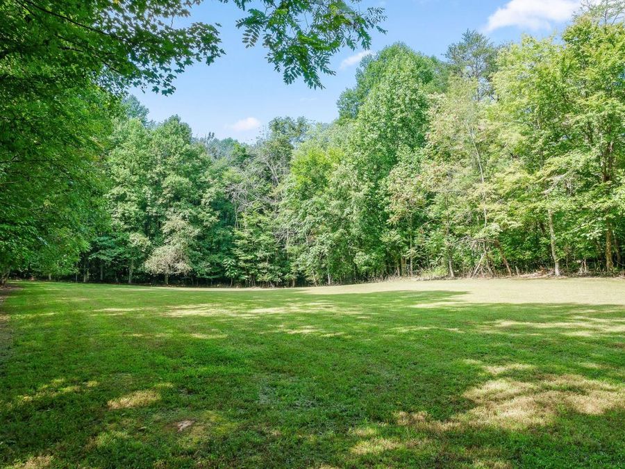 Property Image 63