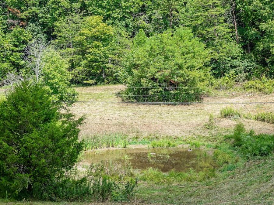 Property Image 67