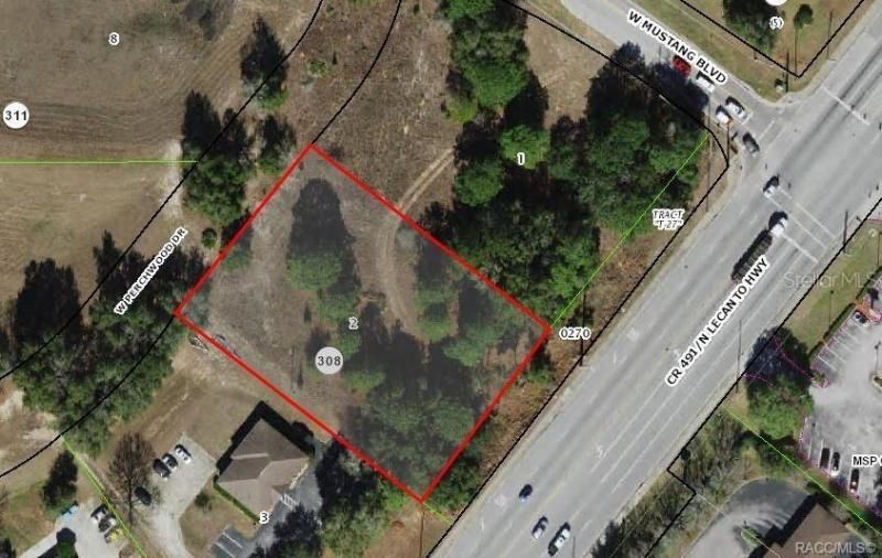 2314 W Perchwood Drive, Beverly Hills, FL 34465 Photo