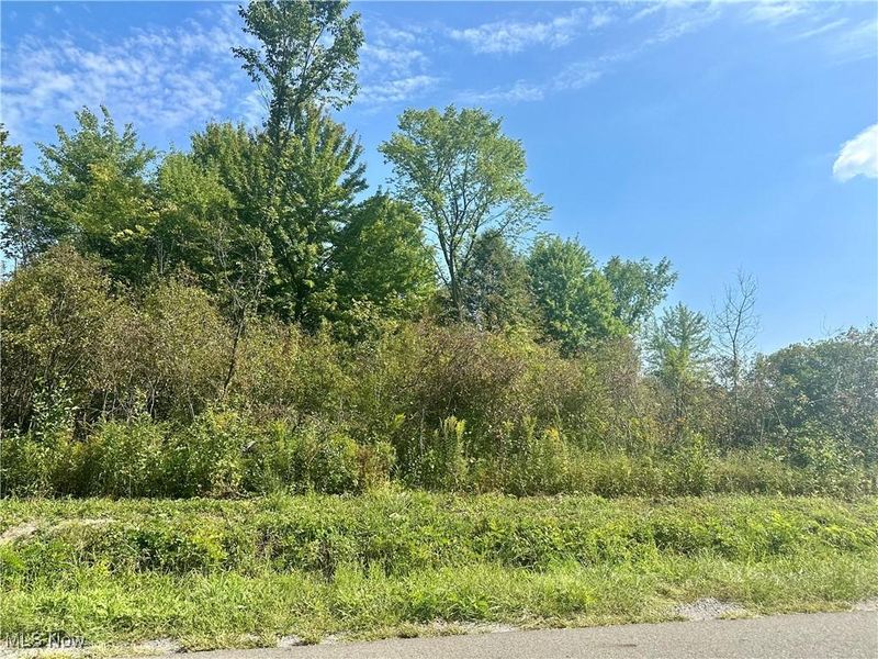 Naylor Lloyd Road, Liberty, OH 44420 Photo 2