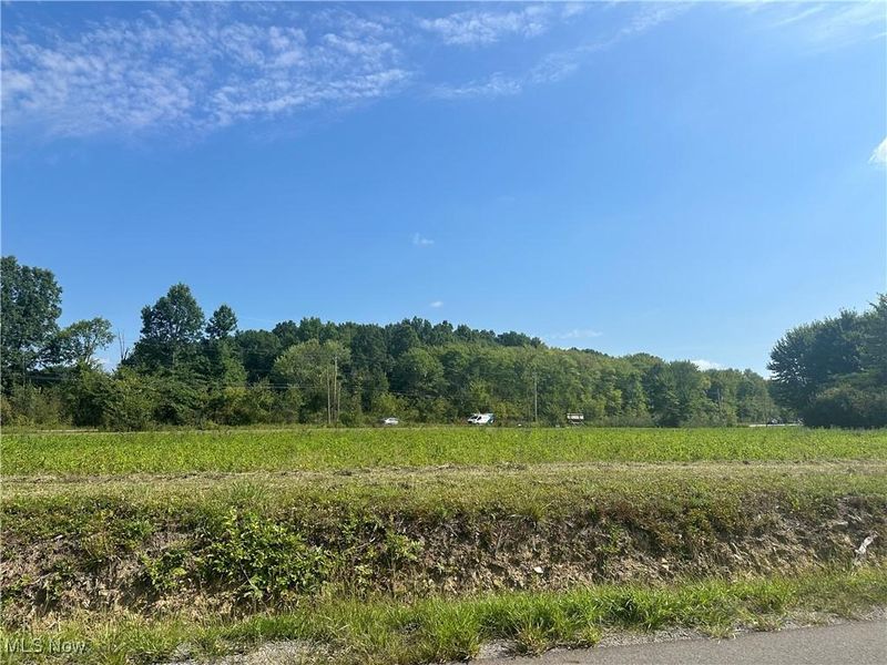 Naylor Lloyd Road, Liberty, OH 44420 Photo 3