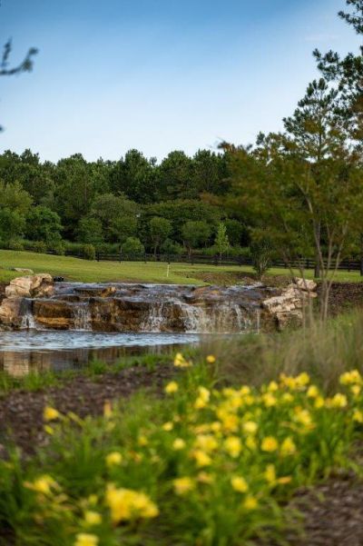 119 Twisted Oak Trail Photo 58