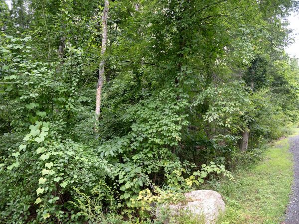 86 pine orchard, Branford, CT 06405