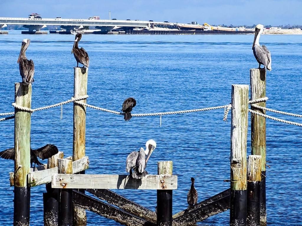 760 Sextant Dr, Unit 223, Sanibel, FL 33957 Photo