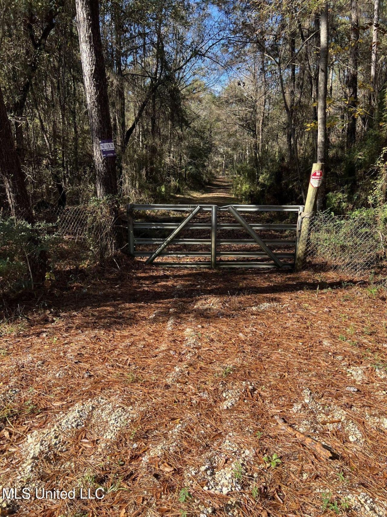 Nhn George Wise Road, Carriere, MS 39426 Main Photo