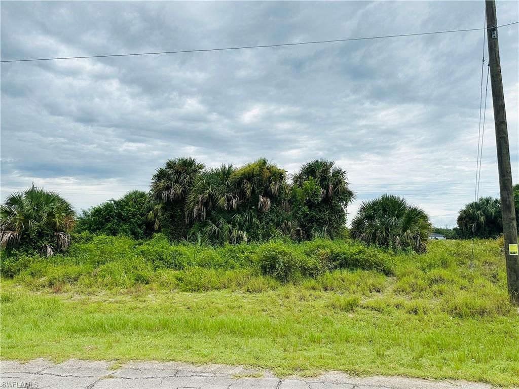 Saturn Loop, Labelle, FL 33935 Photo