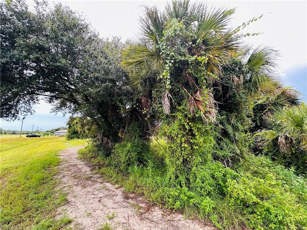 Saturn Loop, Labelle, FL 33935 Photo