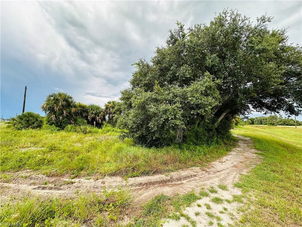 Saturn Loop, Labelle, FL 33935 Photo