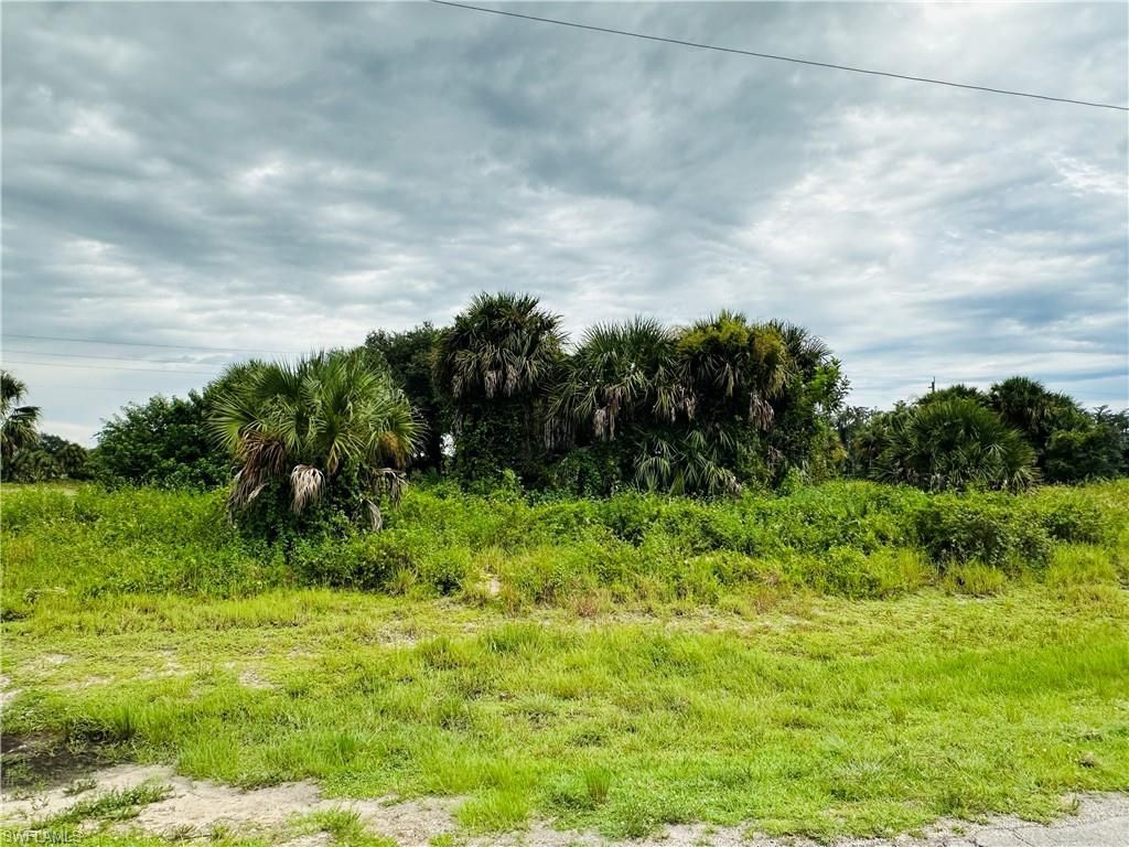 Saturn Loop, Labelle, FL 33935 Photo