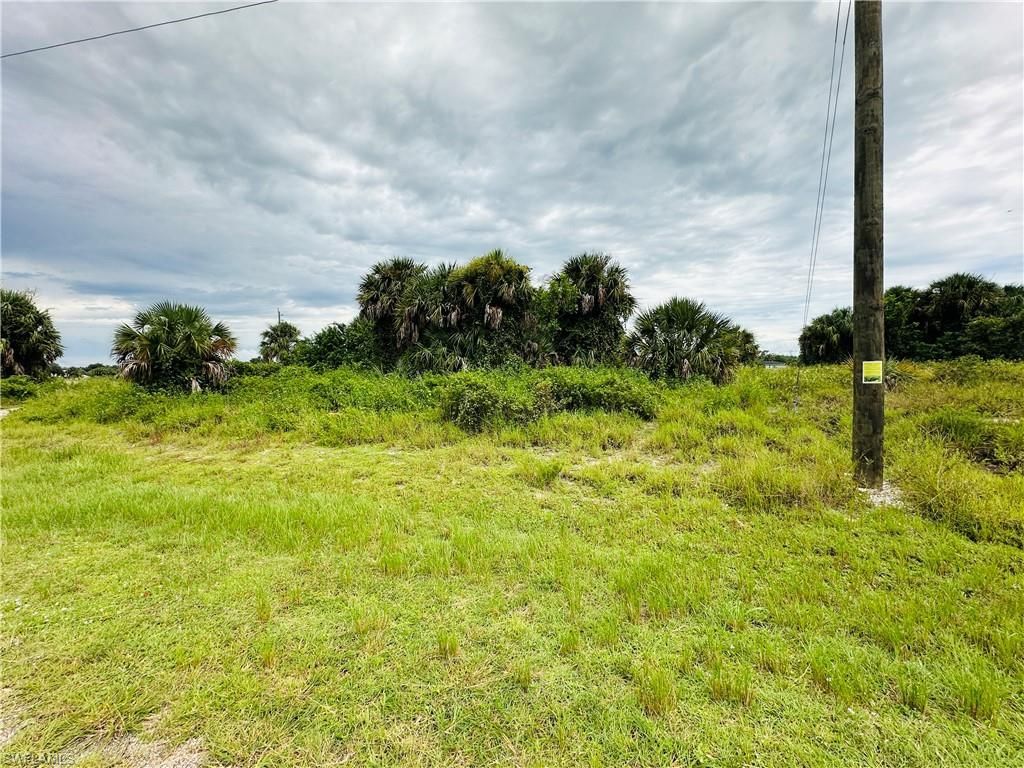 Saturn Loop, Labelle, FL 33935 Photo