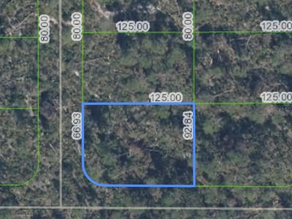 10662 DEEP HAZARD DRIVE, SEBRING, FL 33875