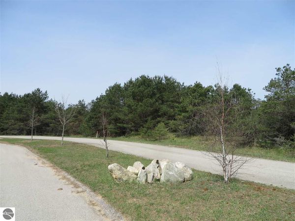 5 Spruce Hollow Trace, Fife Lake, MI 49633