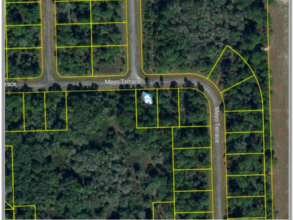 313 JAMES IRWIN TERRACE, LABELLE, FL 33935