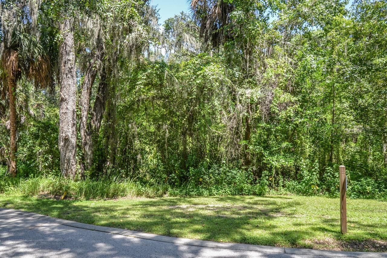 4808 Rambling River Road, Brandon, FL 33511 Photo