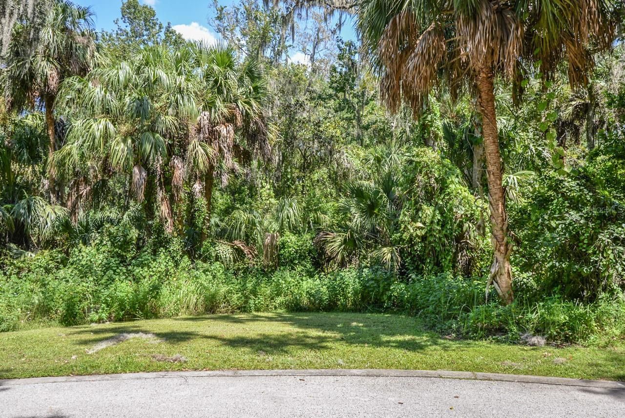 4808 Rambling River Road, Brandon, FL 33511 Photo