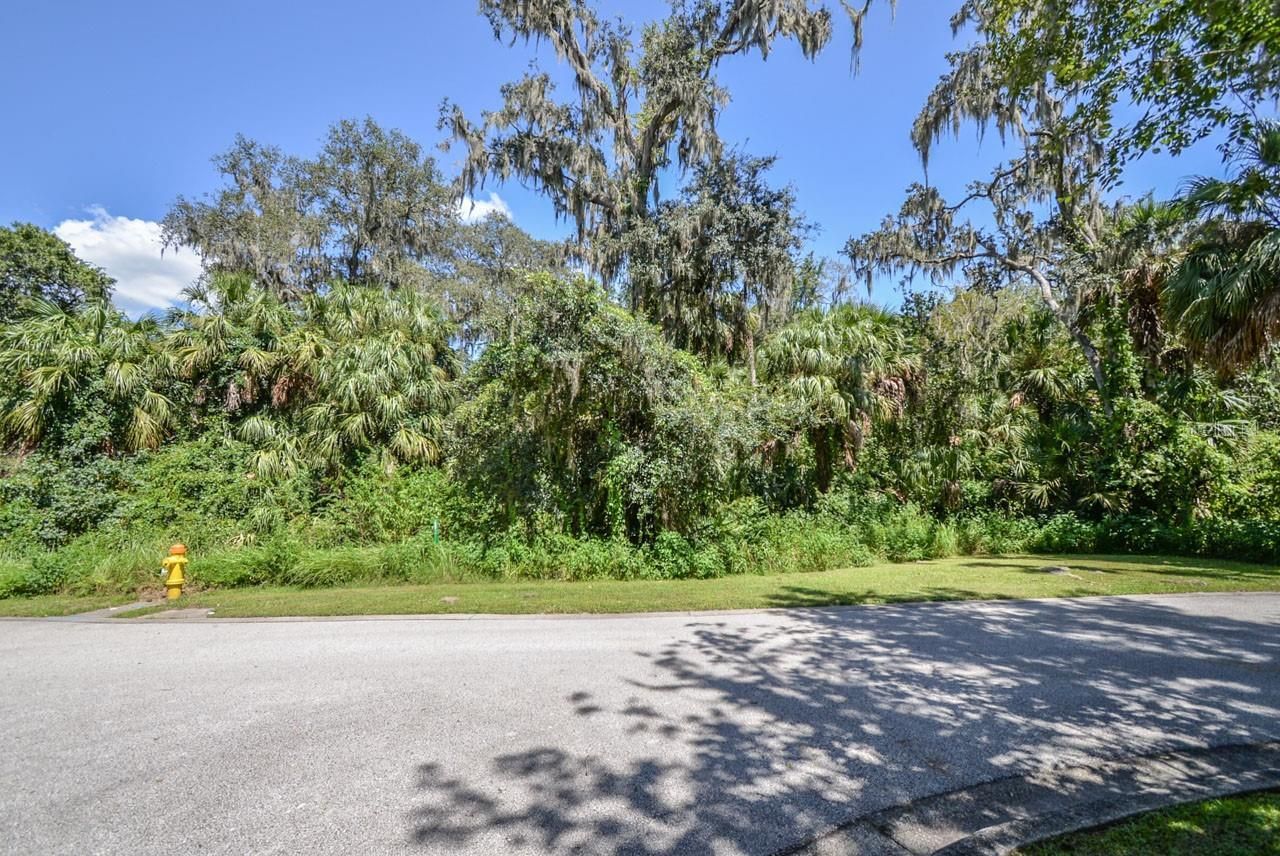 4808 Rambling River Road, Brandon, FL 33511 Photo