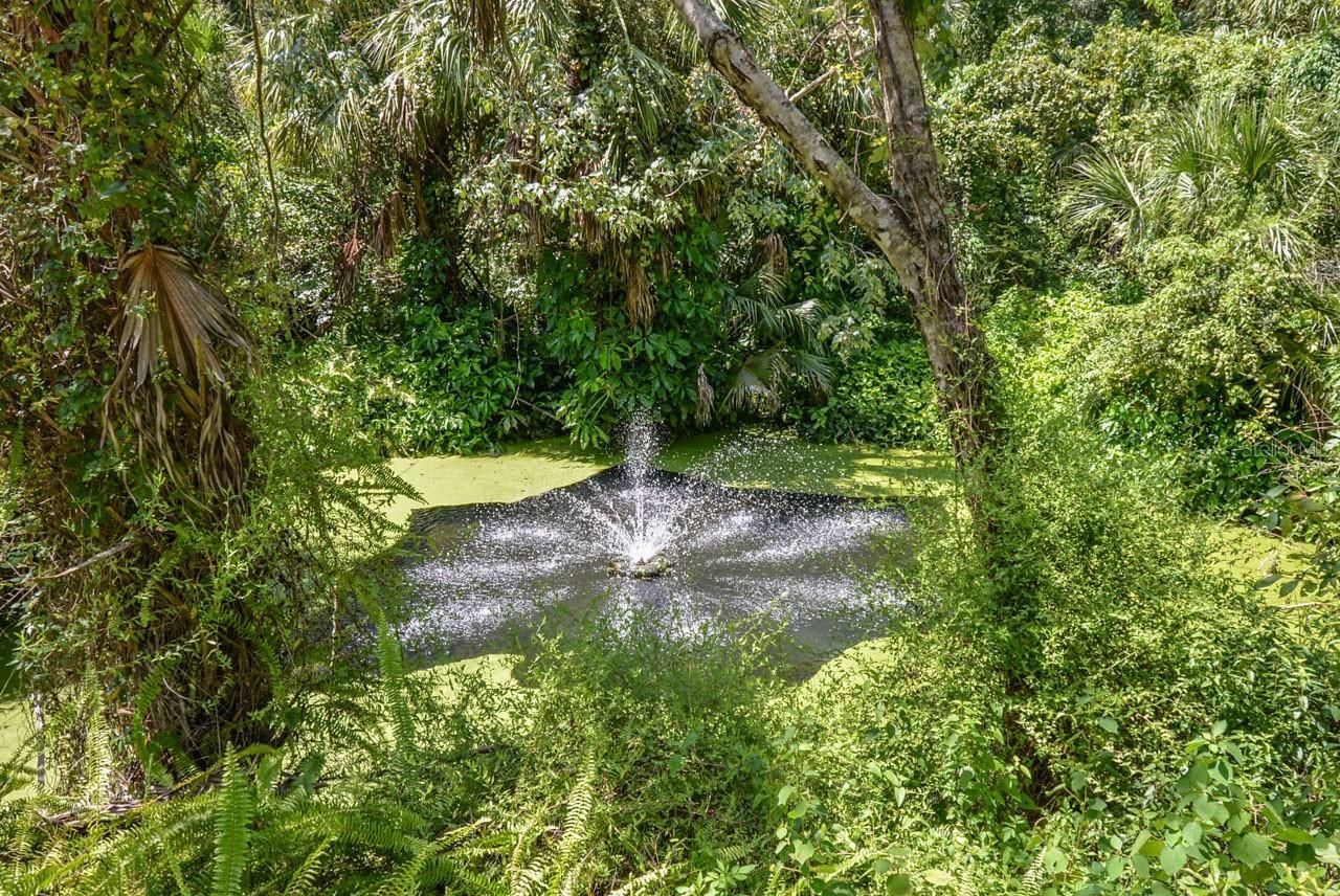4808 Rambling River Road, Brandon, FL 33511 Photo