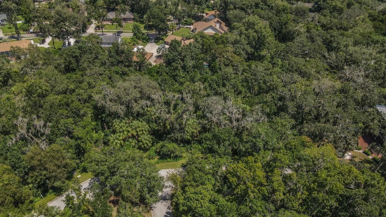 4808 Rambling River Road, Brandon, FL 33511 Photo
