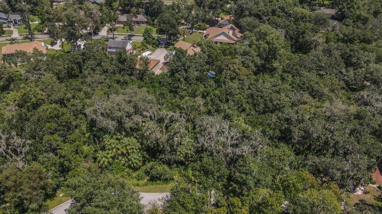 4808 Rambling River Road, Brandon, FL 33511 Photo