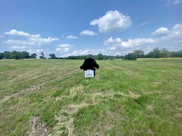 Lot #5 Private Road, Big Sandy, TX 75755