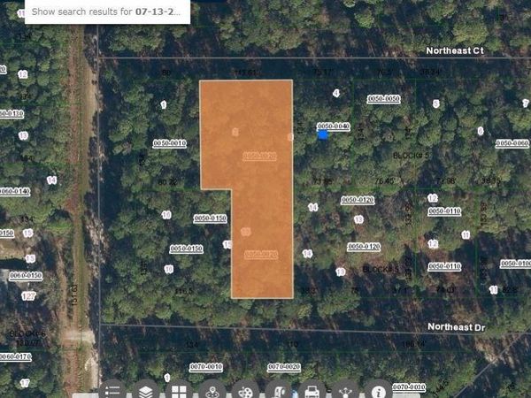103 NORTHEAST COURT, GEORGETOWN, FL 32139