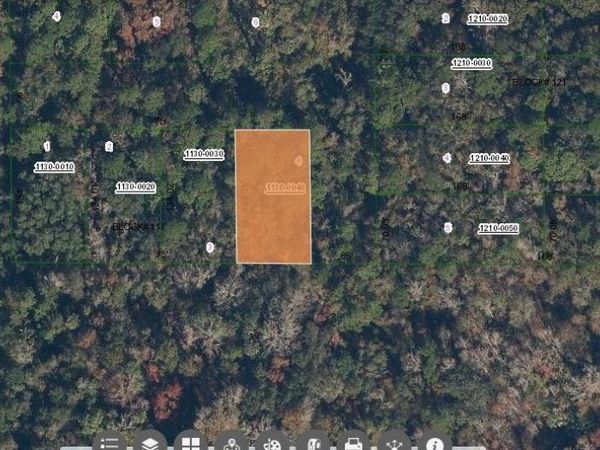 PARADISE LAKES AVENUE, GEORGETOWN, FL 32139