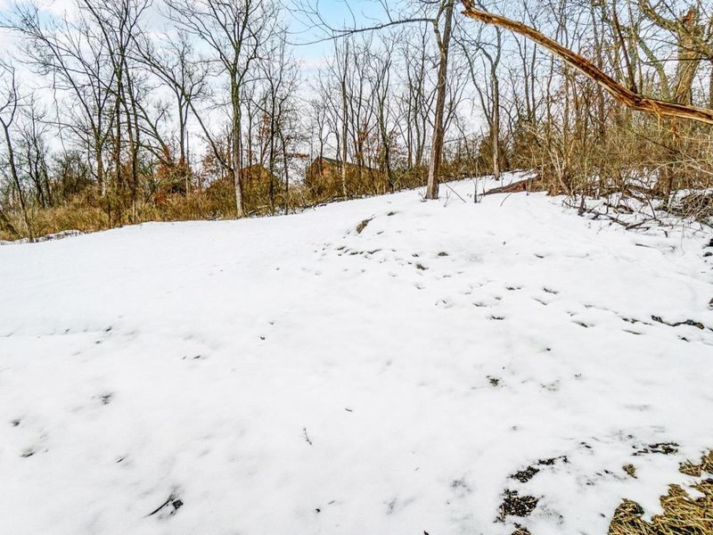 619 W Loveland Avenue, Loveland, OH 45140 Photo 77