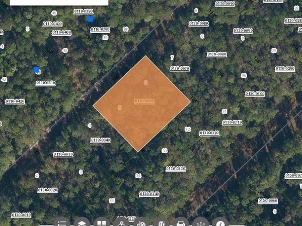 209 SE PARADISE LAKES, GEORGETOWN, FL 32139