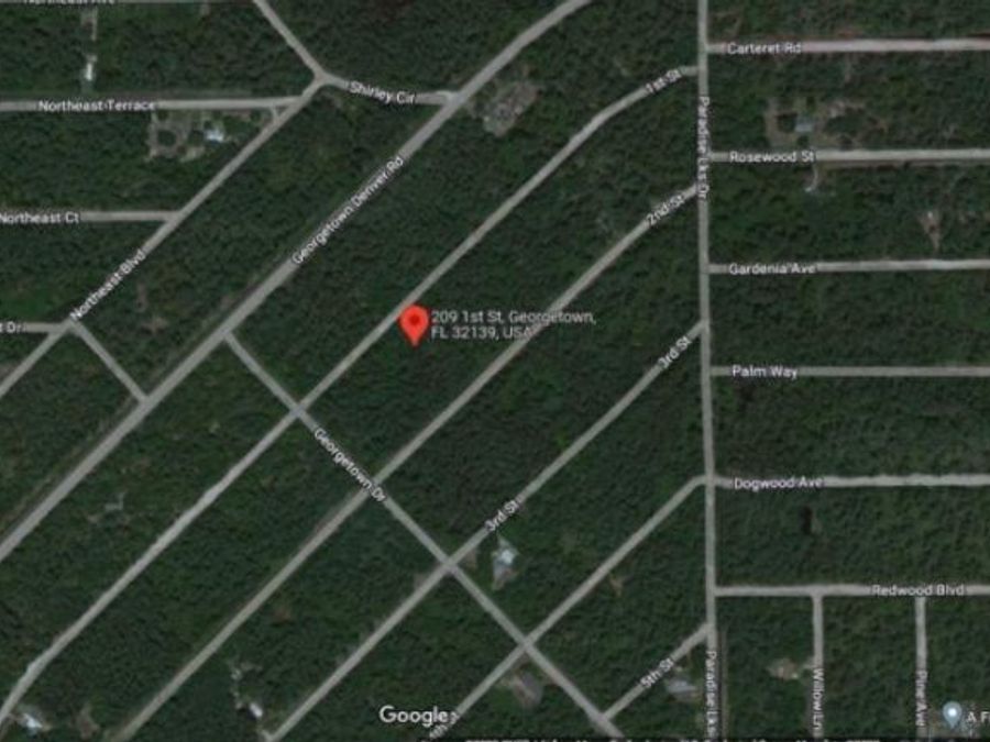 Property Image 6