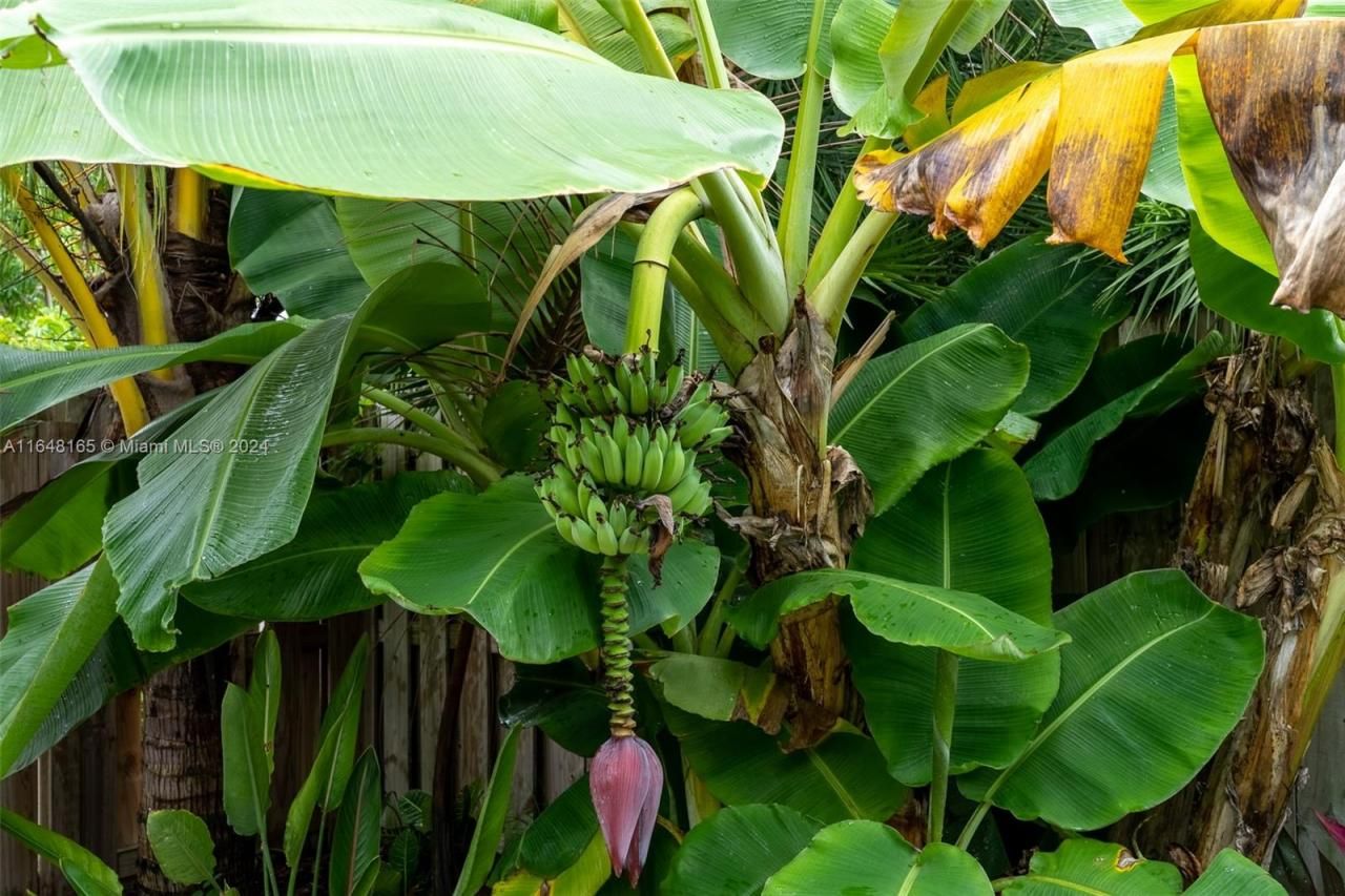 25357 SW 107th Ct, Miami, FL 33032 Photo