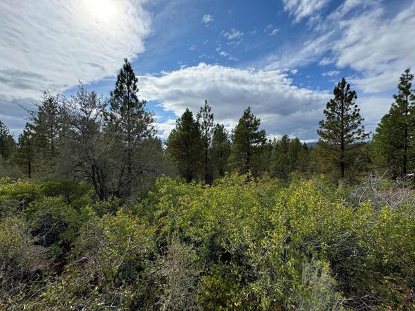 0 Nighthawk Drive, Unit 17 & 18, Bonanza, OR 97623