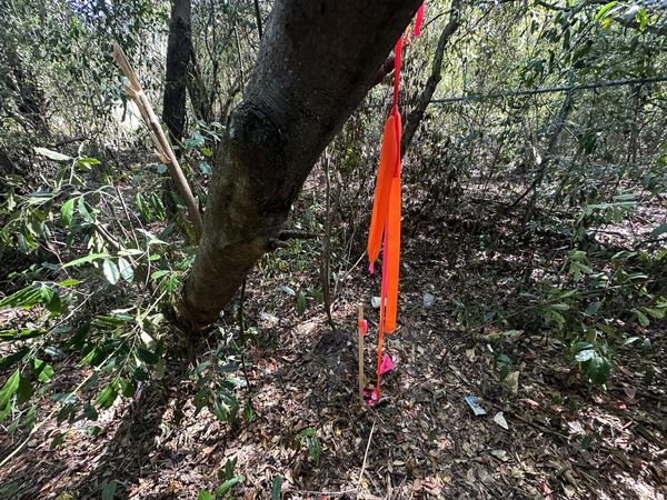 3 Lots Ridge Drive, Crestview, FL 32536