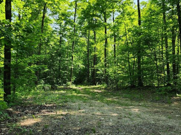 3625 E Simmons RD, Hessel, MI 49745