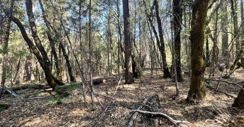 Belle Star Rd, Grass Valley, CA 95945 Photo