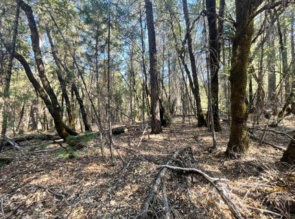 Belle Star Rd, Grass Valley, CA 95945 Photo