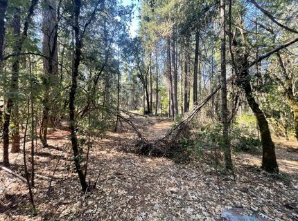 Belle Star Rd, Grass Valley, CA 95945 Photo