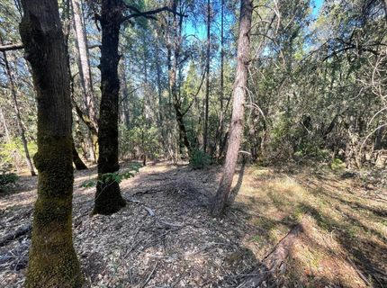 Belle Star Rd, Grass Valley, CA 95945 Photo