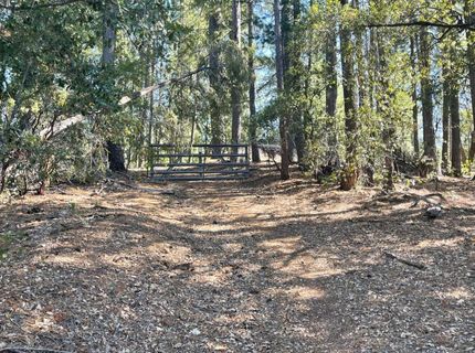 Belle Star Rd, Grass Valley, CA 95945 Photo