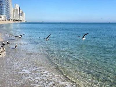 17550 Collins Ave, Unit 1203, Sunny Isles Beach, FL 33160 Photo