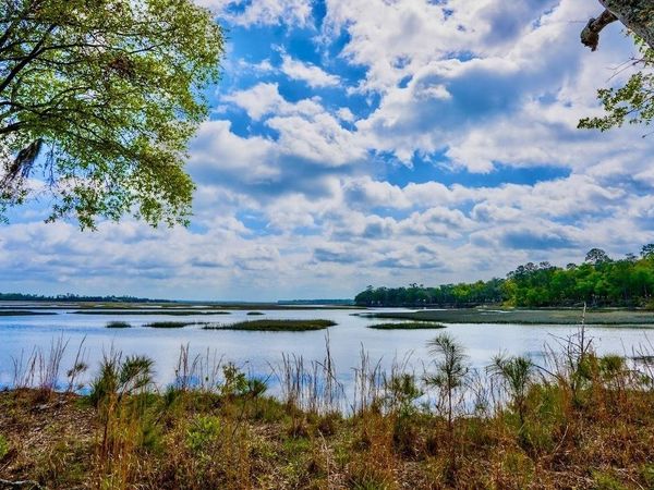 0 Simons Bluff Road, Woodbine, GA 31569