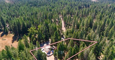 12225 La Porte Rd, Clipper Mills, CA 95930 Photo