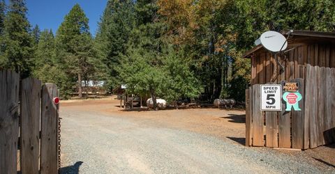 12225 La Porte Rd, Clipper Mills, CA 95930 Photo