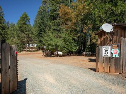 12225 La Porte Rd, Clipper Mills, CA 95930 Photo
