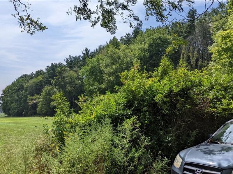 9376 Daniels Road, Seville, OH 44273 Photo 10