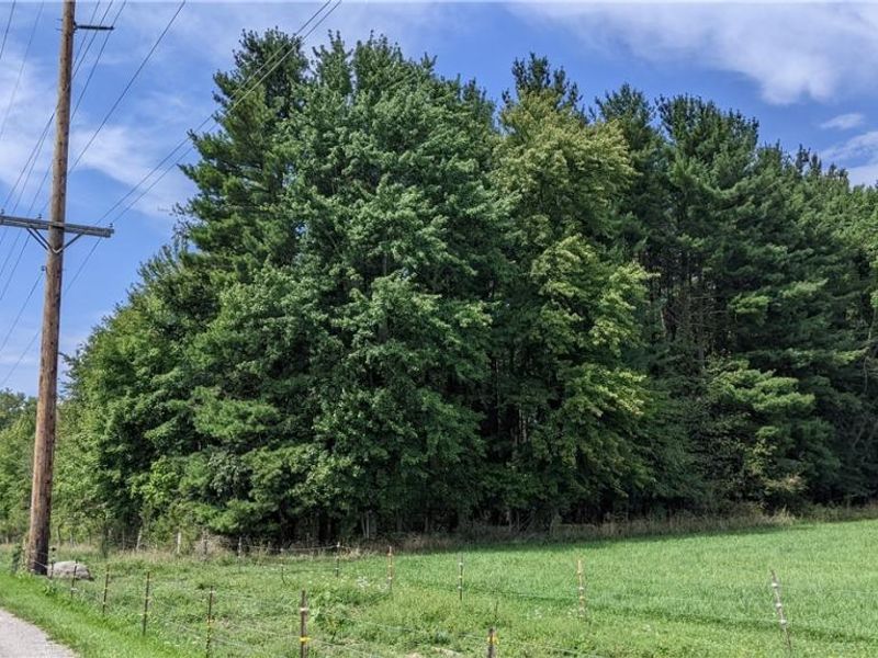 9376 Daniels Road, Seville, OH 44273 Photo 11