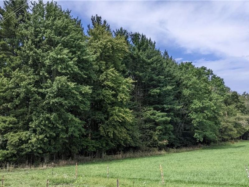 9376 Daniels Road, Seville, OH 44273 Photo 12