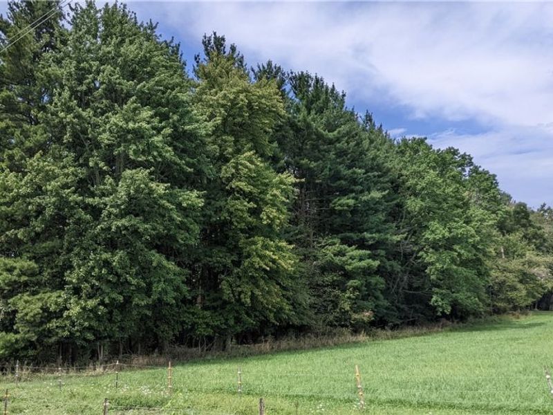 9376 Daniels Road, Seville, OH 44273 Photo 13