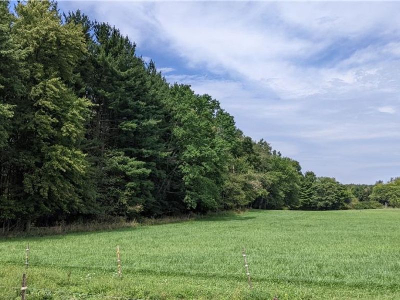 9376 Daniels Road, Seville, OH 44273 Photo 13