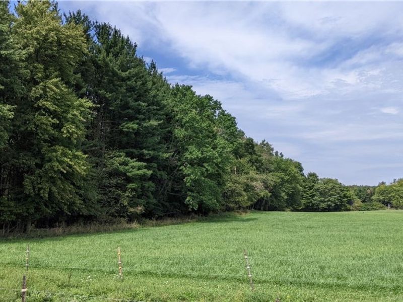 9376 Daniels Road, Seville, OH 44273 Photo 14